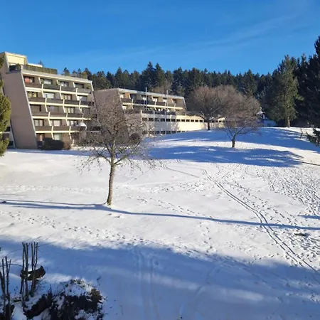 Zweizimmerwohnung - Ferienwohnung Im Sankt Englmar Exterior photo