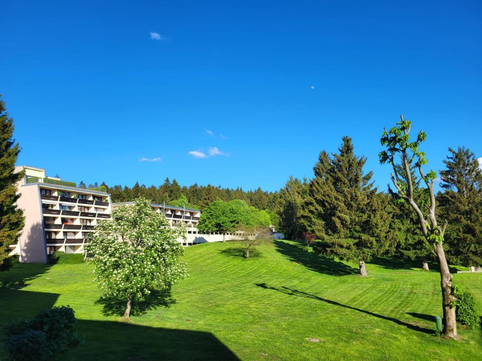 Zweizimmerwohnung - Im